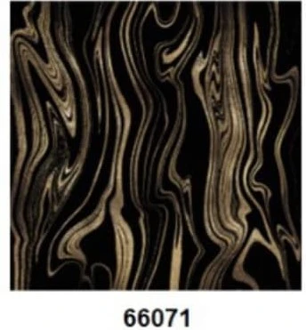 G66071