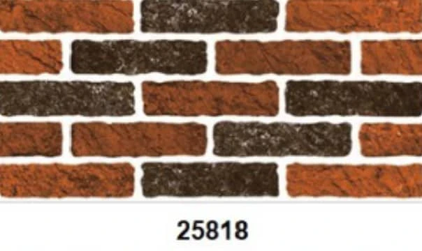G25818