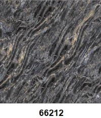 G66212