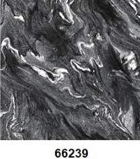 G66239