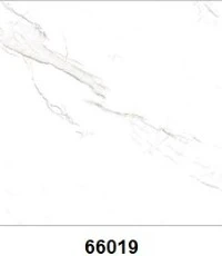 G66019