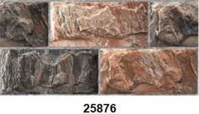 G25876