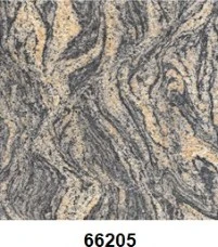 G66205