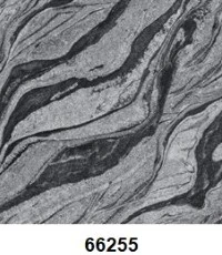 G66255